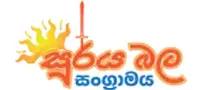 Suntastic Brand Logo #4